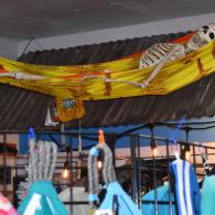 Hammocks