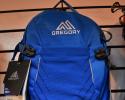 Gregory Backpack