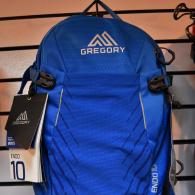 Gregory Backpack