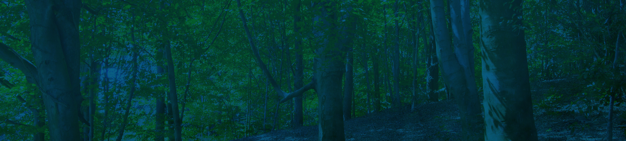 Cades Cove