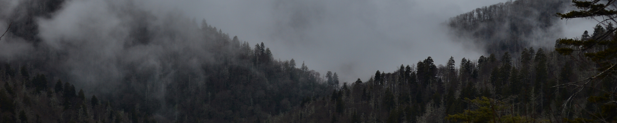 great smokey mountains